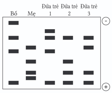 A black and white chart with text
AI-generated content may be incorrect.