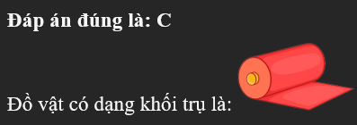Đồ vật nào dưới đây có dạng khối trụ? (ảnh 1)