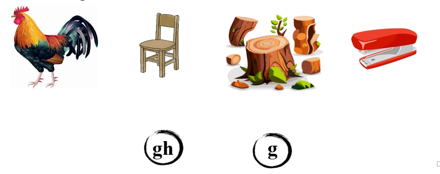 Nối đúng: gh g (ảnh 1)