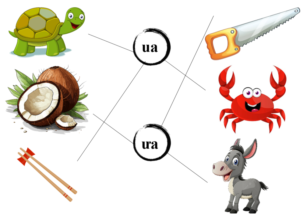 Nối đúng: ua ưa (ảnh 2)