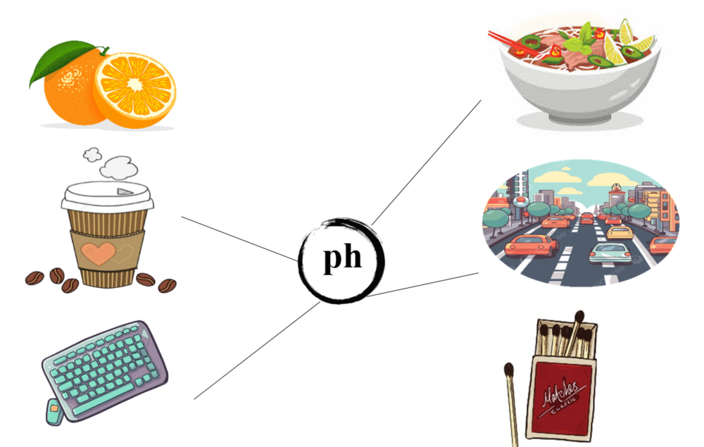 Nối đúng: ph (ảnh 2)