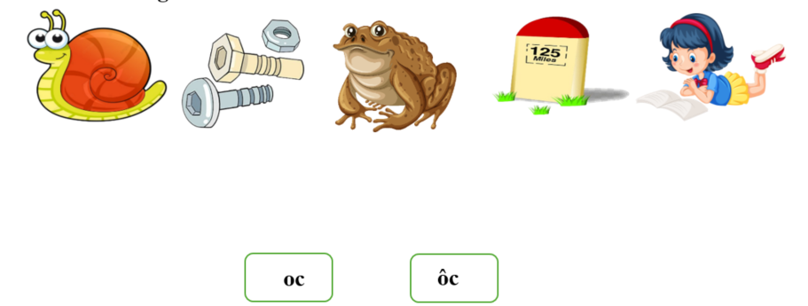 Nối đúng: oc ôc (ảnh 1)