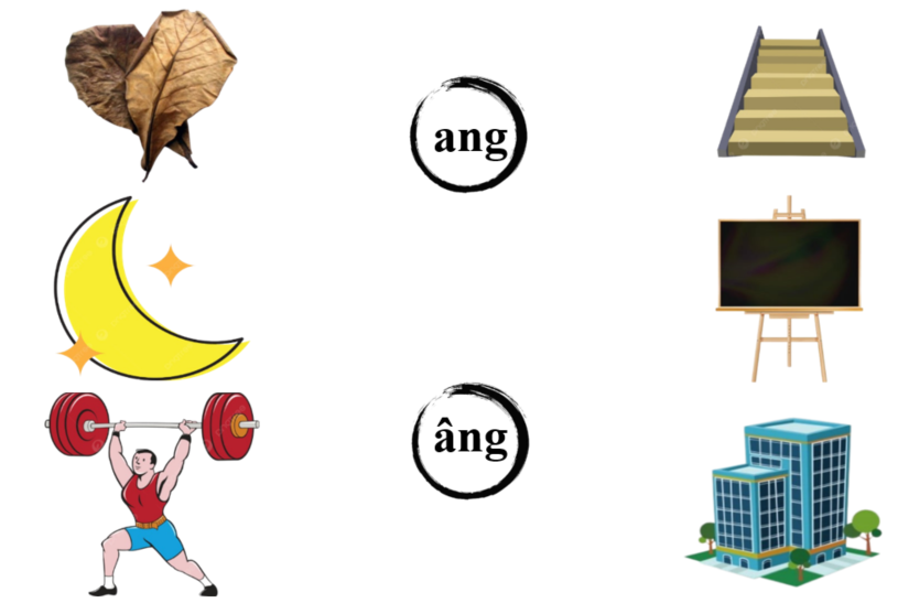 Nối đúng: ang âng (ảnh 1)