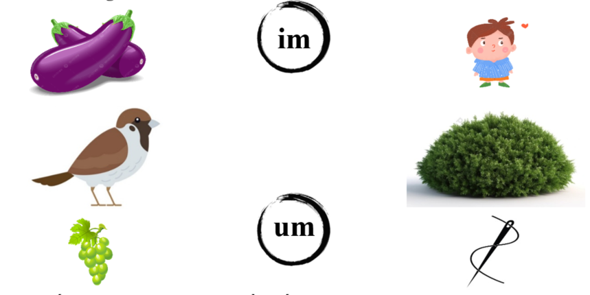 Nối đúng: im um (ảnh 1)