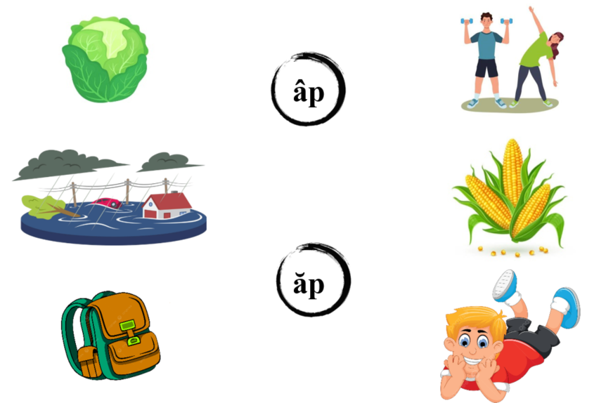 Nối đúng: âp ăp (ảnh 1)