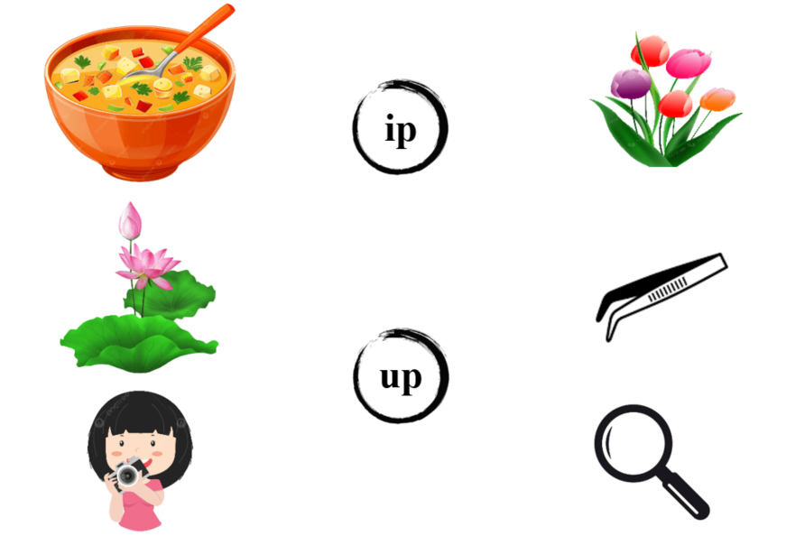 Nối đúng ip up (ảnh 1)