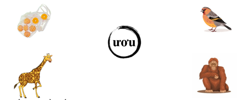 Nối đúng: ươu (ảnh 1)