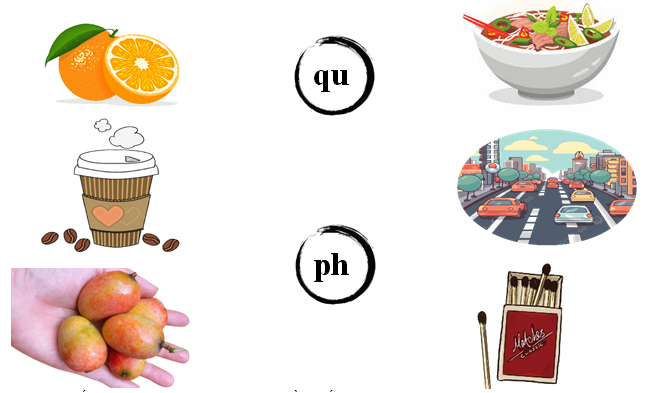 Nối đúng: qu ph (ảnh 1)