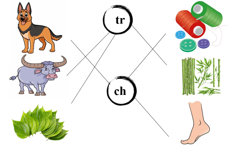Nối đúng: tr ch (ảnh 2)
