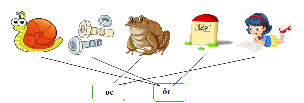 Nối đúng oc ôc (ảnh 2)