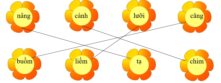 Nối đúng rồi viết lại từ ngữ: (ảnh 2)