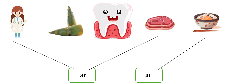 Nối đúng: ac at (ảnh 2)