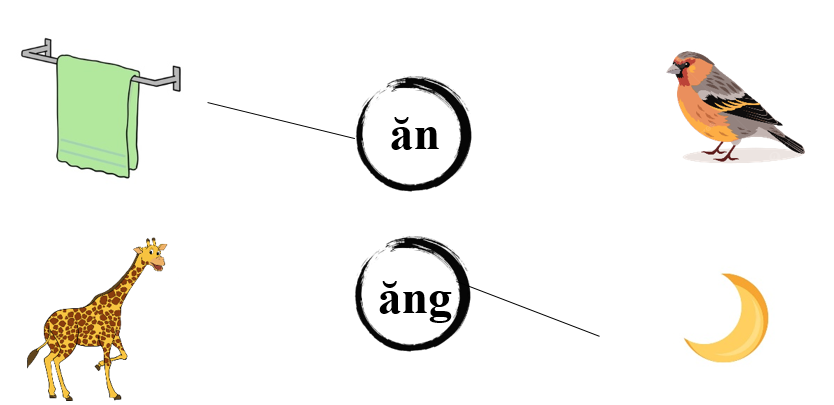 Nối đúng: ăn ăng (ảnh 2)