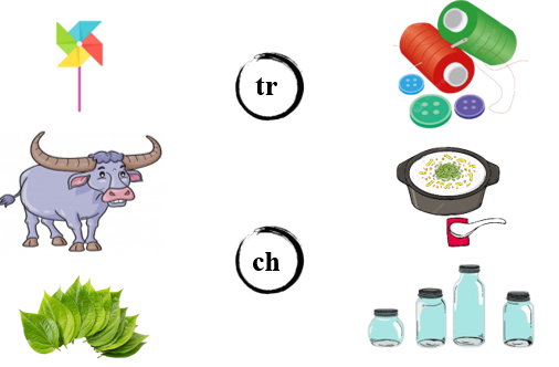 Nối đúng ảnh với chữ (ảnh 1)