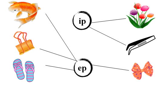 Nối đúng: ip ep (ảnh 2)