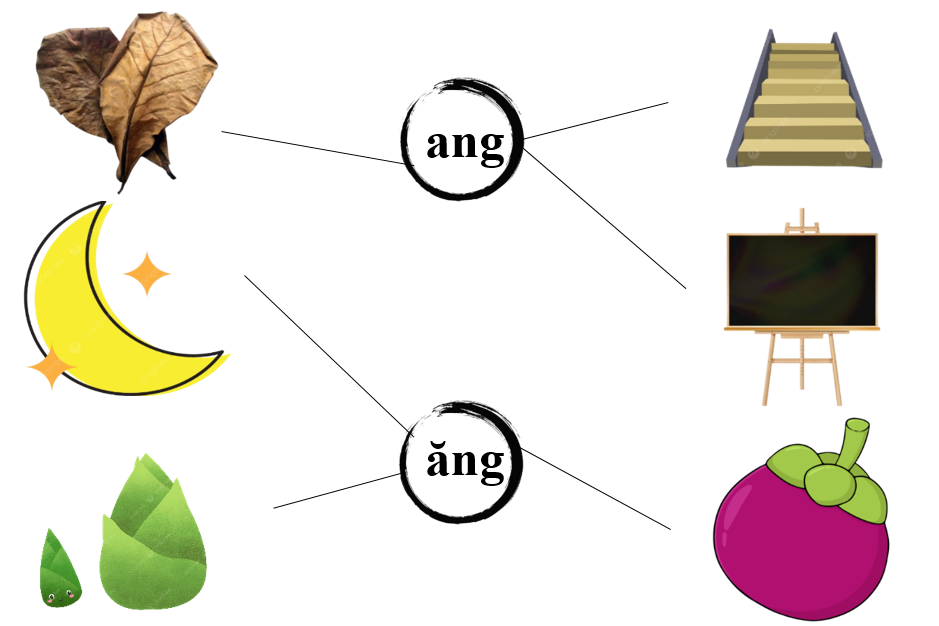 Nối đúng: ang ăng (ảnh 2)