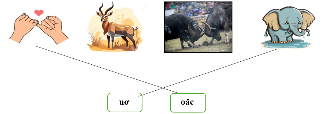 Nối đúng: ươ (ảnh 2)