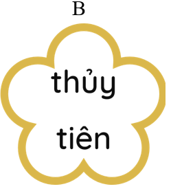 Đâu không phải tên một loại hoa? (ảnh 2)
