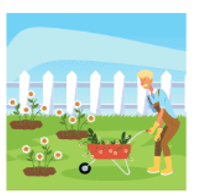 Look at the picture and choose the letter A, B, C or D to complete the sentences.How many ___________ are there in your house? - One. (ảnh 1)