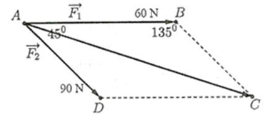Tính cường độ tổng hợp của hai lực trên (kết quả làm tròn đến hàng phần trăm). (ảnh 1)