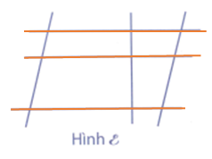 Khoanh vào chữ đặt trước kết quả đúng: Trong hình E có: (ảnh 2)
