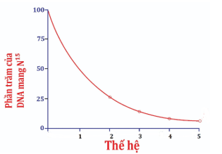 A red line graph with numbers

AI-generated content may be incorrect.