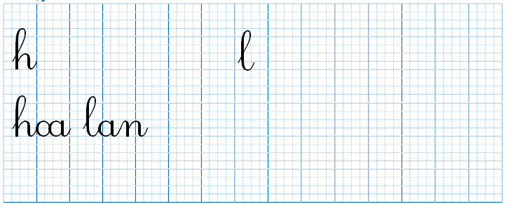 Tập viết h l hoa lan (ảnh 1)