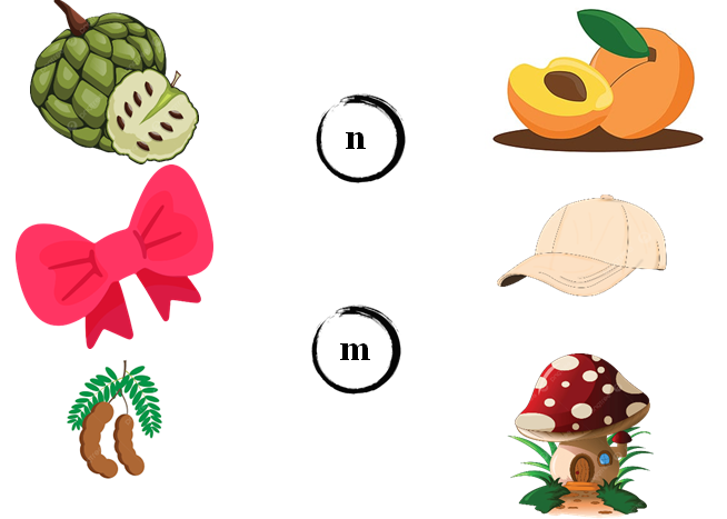 Nối đúng: n m (ảnh 1)