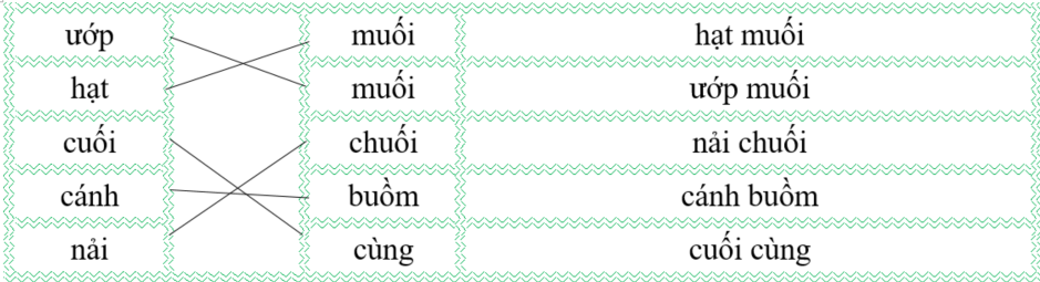 Nối đúng rồi viết lại từ ngữ: (ảnh 2)
