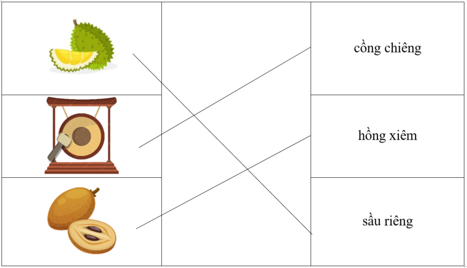 Nối từ với hình ảnh tương ứng (ảnh 2)