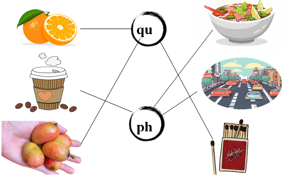 Nối đúng: qu ph (ảnh 2)