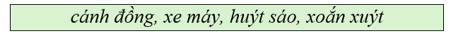 Điền các từ trong khung phù hợp vào chỗ trống: (ảnh 1)