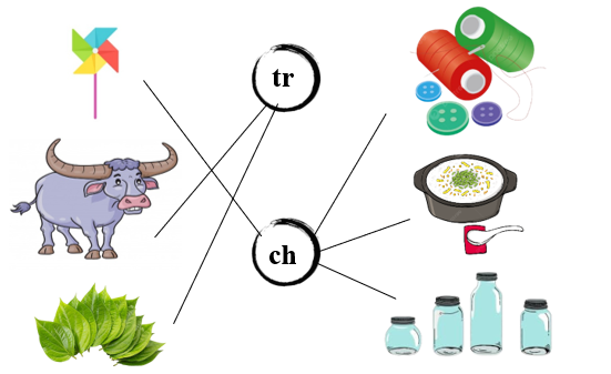 Nối đúng ảnh với chữ (ảnh 2)
