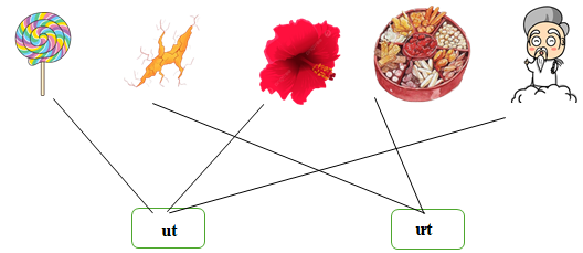 Nối đúng: ut ưt (ảnh 2)