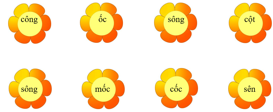 Nối đúng: các từ sau (ảnh 1)