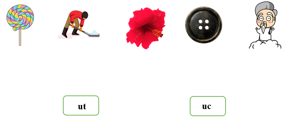 Nối đúng: ut uc (ảnh 1)