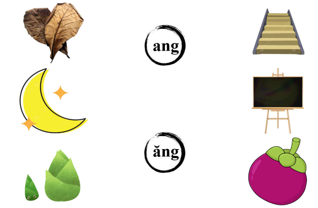 Nối đúng: ang ăng (ảnh 1)