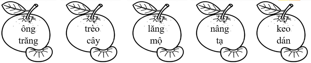 Tô màu xanh lá vào tiếng chứa vần “ăng”, màu xanh dương vào tiếng chứa vần “âng”: (ảnh 1)