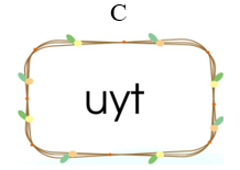 Từ “uyên bác” chứa vần nào trong các vần dưới đây: (ảnh 3)