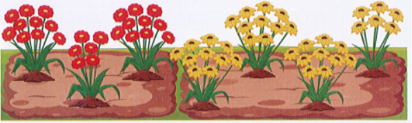 Số bông hoa màu vàng hơn số bông hoa màu đỏ là: (ảnh 1)