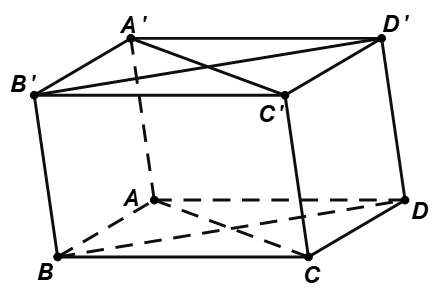Cho hình hộp  A B C D . A ′ B ′ C ′ D ′ (hình vẽ dưới).    Mệnh đề nào sau đây sai? (ảnh 1)