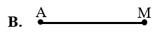 Hình nào dưới đây là đường thẳng? (ảnh 3)