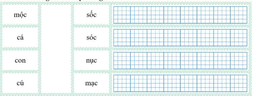 Nối đúng rồi viết lại từ ngữ: (ảnh 1)
