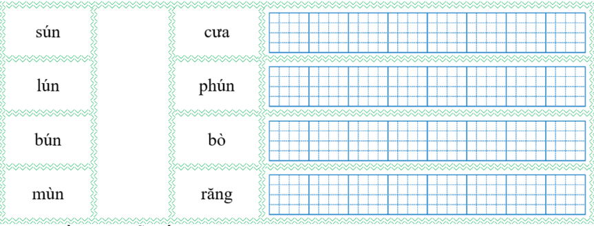 Nối đúng rồi viết lại từ ngữ: (ảnh 1)