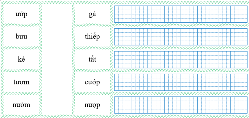 Nối đúng rồi viết lại từ ngữ: (ảnh 1)