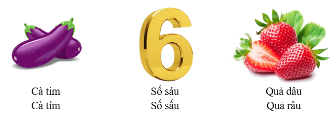 Gạch chân dưới từ phù hợp với hình minh họa: (ảnh 1)