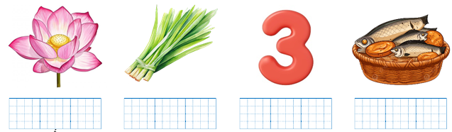 Viết “củ sả, nở rộ, số ba, rổ cá” dưới hình phù hợp. (ảnh 1)