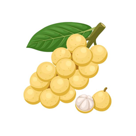 Điền từ thích hợp vào chỗ trống.  Cây bòn bon nhà bé ... quả (ảnh 2)