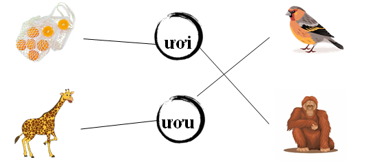 Nối đúng: ươi ươu  (ảnh 1)