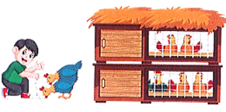 Huy giúp mẹ cho gà ăn. Huy đếm được có 25 con gà ở ngoài sân, còn lại ở trong chuồng. Số gà ở ngoài sân nhiều hơn số gà trong chuồng là 12 con. a. Hỏi trong chuồng có bao nhiêu con gà? (ảnh 1)